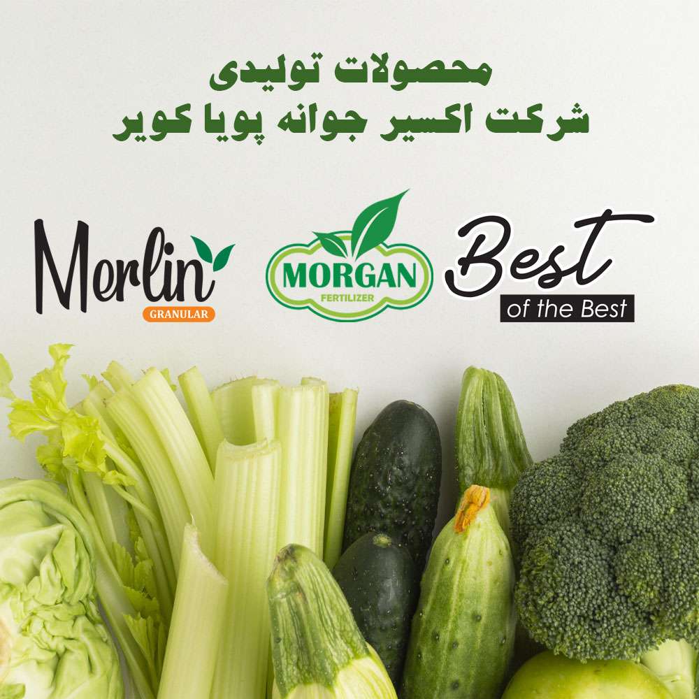 محصولات تولیدی شرکت اکسیر(مورگان | مرلین | best of the best)