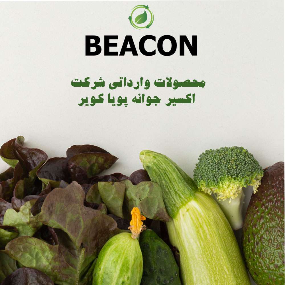 محصولات وارداتی شرکت اکسیر(بیکن)