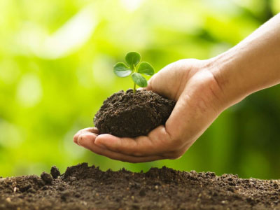 تشدید بحران جهانی غذا در اروپا بدلیل کمبود کود شیمیایی