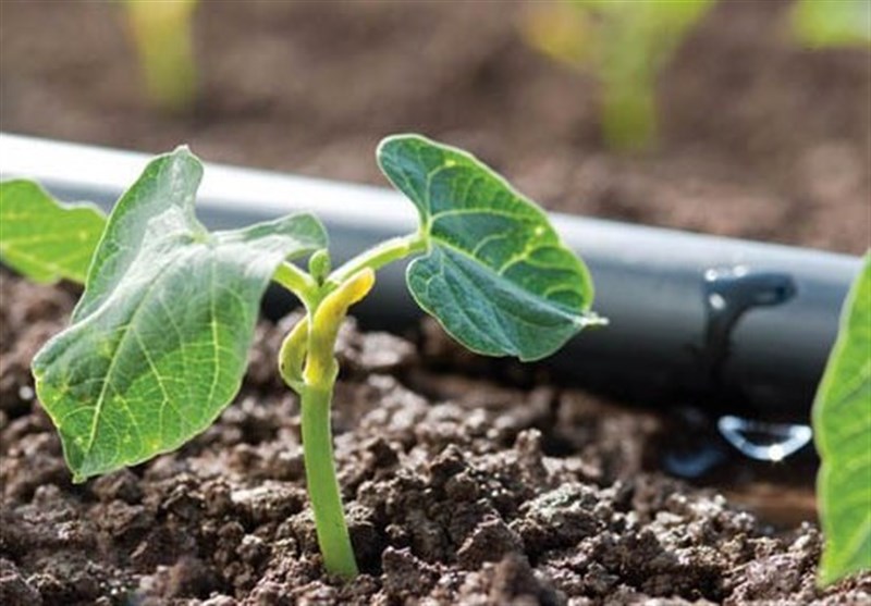 تعدیل آب بر اساس ویژگی های شهرستان های مختلف متفاوت انجام شود