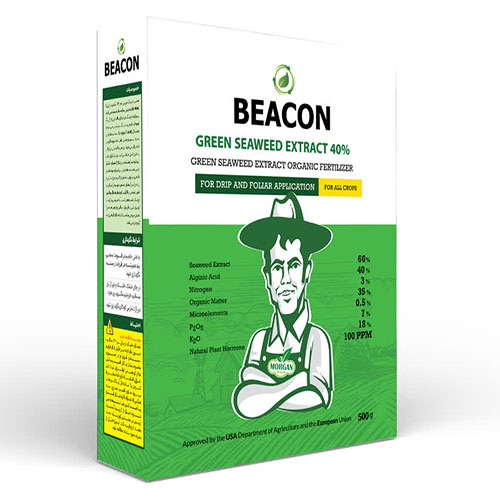 جلبک دریایی 60% گرین سوید اکسترکت  بیکن