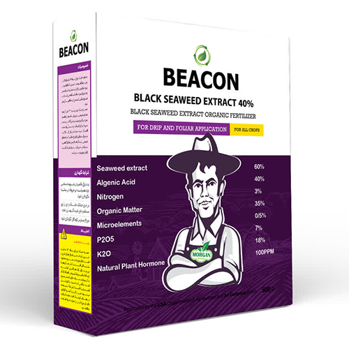 جلبک دریایی 60% بلک سوید اکسترکت بیکن