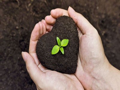 کمبود جهانی کودهای شیمیایی و تاثیر آن بر کشاورزی