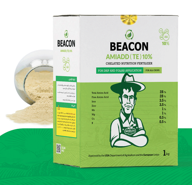 آمینو ریزمغذی(آمی اد)