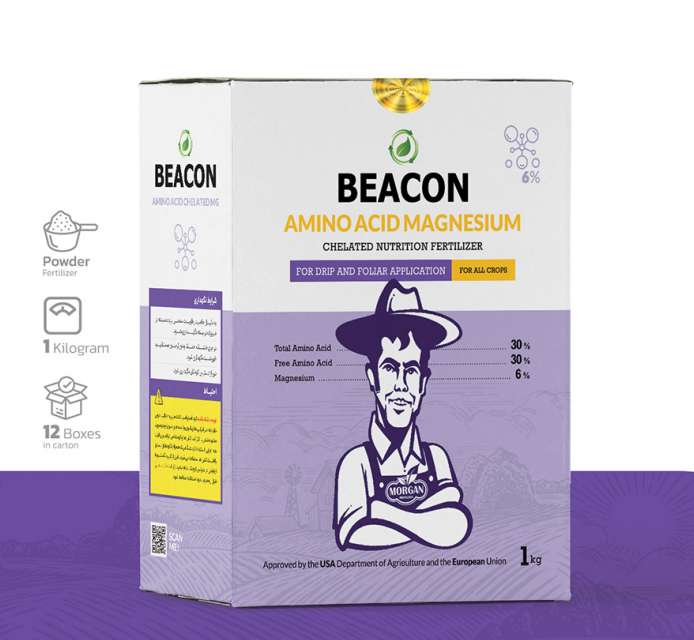 آمینو منیزیم