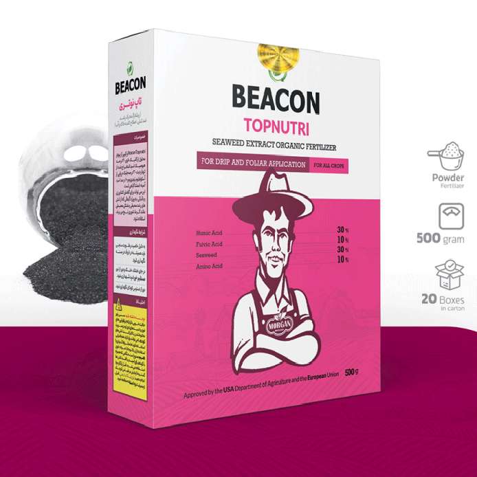 جلبک دریایی تاپ نوتری بیکن