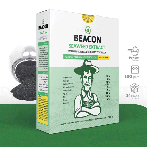 جلبک دریایی سوید اکسترکت بیکن