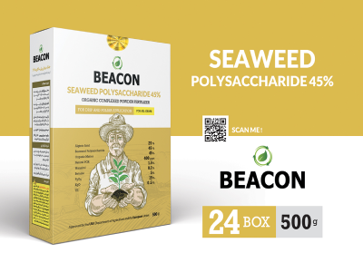 مزایای جلبک دریایی پلی ساکارید