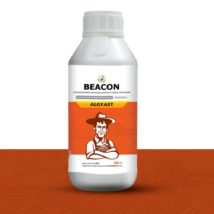 جلبک دریایی مایع آلجی فست