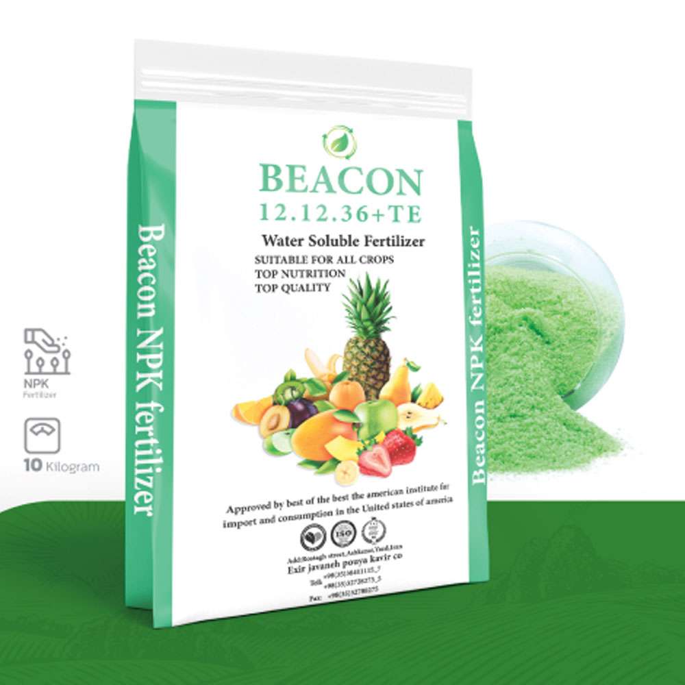 NPK(12-12-36) BEACON