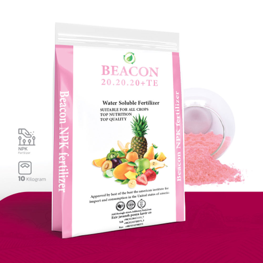 NPK(20-20-20)BEACON
