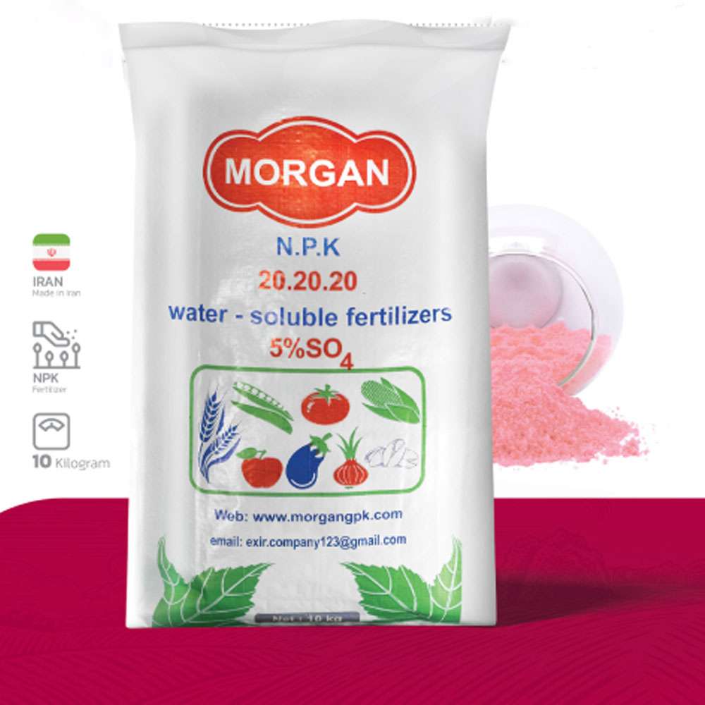 ان پی کا (20-20-20) مورگان