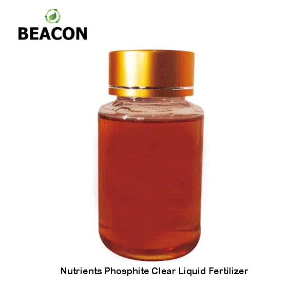 کود مایع شفاف حاوی مواد مغذی فسفیت