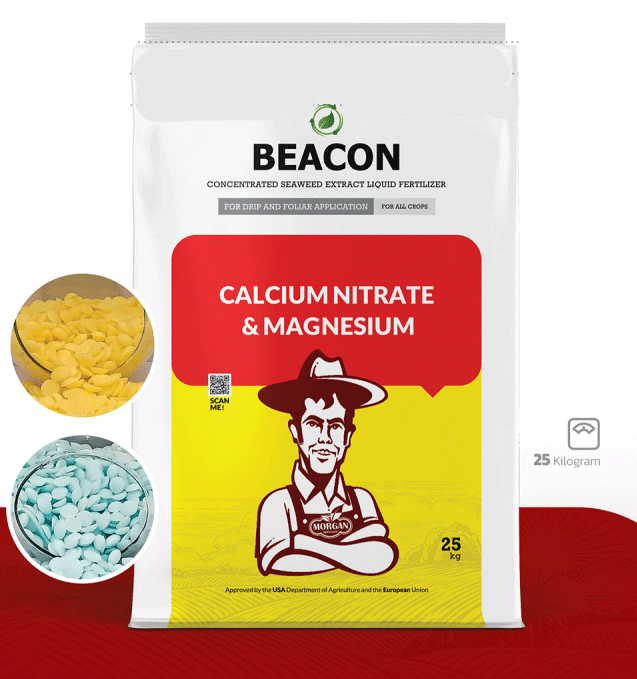 نیترات منیزیم کلسیم بیکن