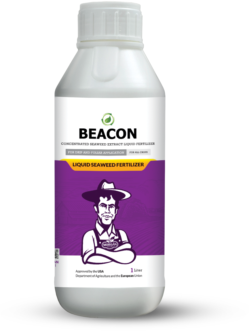 کود مایع جلبک دریایی فسفر کلسیم روی سیلیکون بیکن