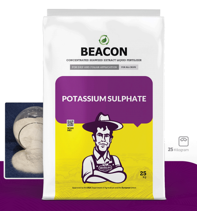 سولفات پتاسیم بیکن
