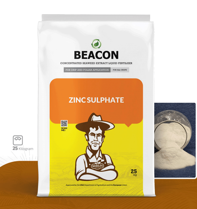 سولفات روی بیکن