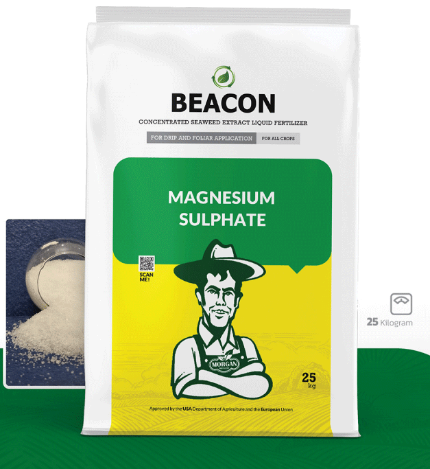 سولفات منیزیم بیکن