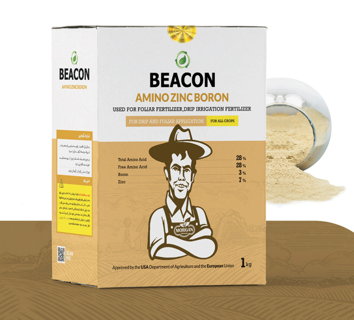 فروتست (آمینو روی - بور )بیکن