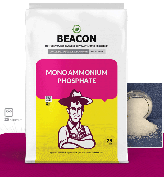 مونوآمونیوم فسفات بیکن