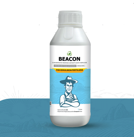 کود مایع ماهی بیکن