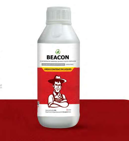 کود مایع غلیظ  PKبیکن (پلی فسفات پتاسیم)
