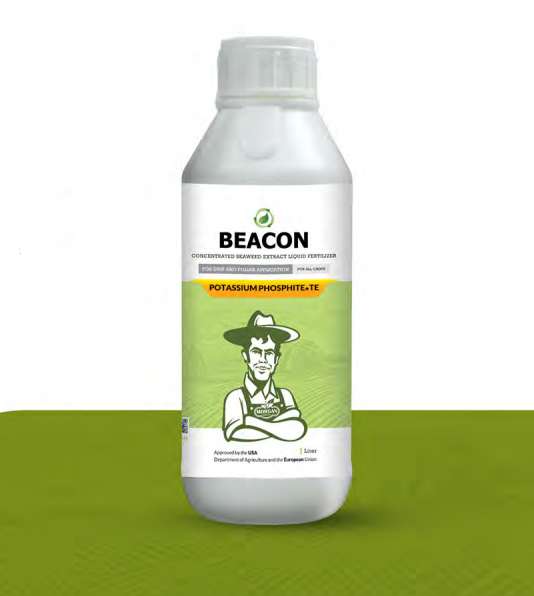 پتاسیم فسفیت (20-38-0) + ریزمغذی بیکن