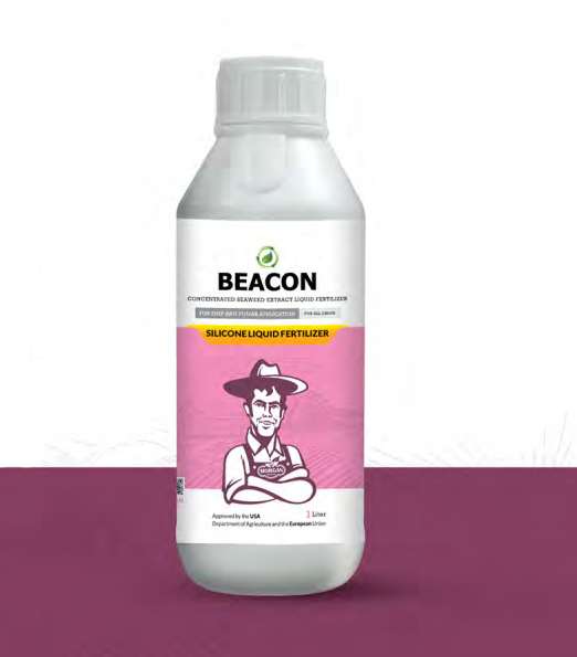 کود مایع سیلیکون بیکن