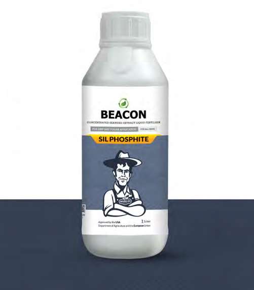 کود مایع سیلیکون  فسفیت بیکن