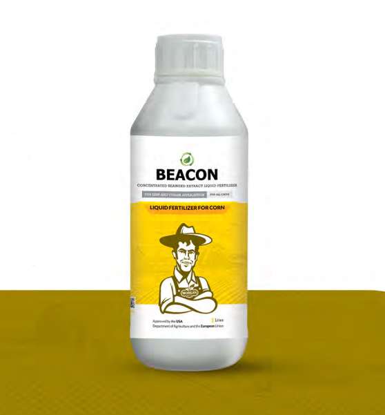 کود مخصوص ذرت بیکن