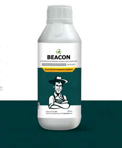 کود مایع کربن پتاسیم سیلیکون بیکن